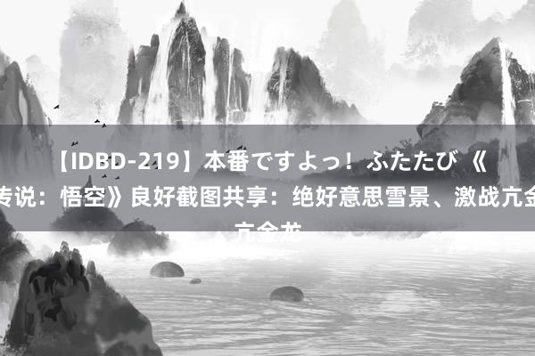 【IDBD-219】本番ですよっ！ふたたび 《黑传说：悟空》良好截图共享：绝好意思雪景、激战亢金龙