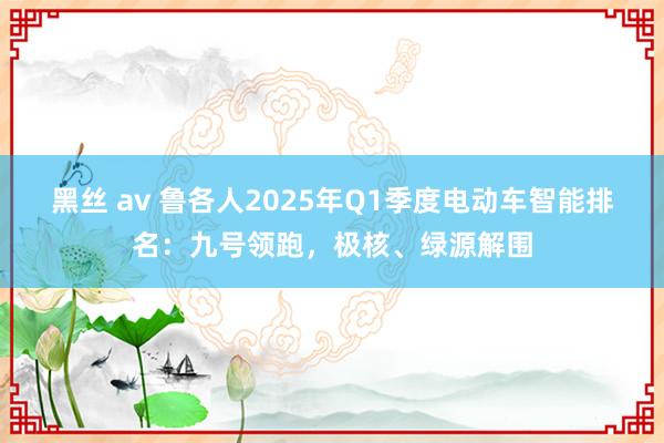 黑丝 av 鲁各人2025年Q1季度电动车智能排名：九号领跑，极核、绿源解围