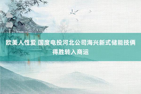 欧美人性爱 国度电投河北公司海兴新式储能技俩得胜转入商运