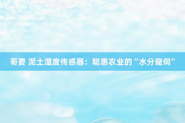 哥要 泥土湿度传感器：聪惠农业的“水分窥伺”