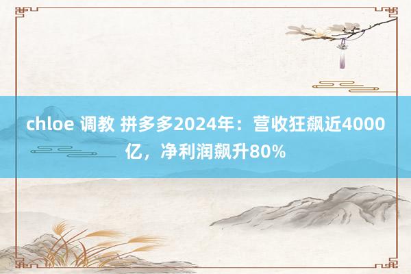 chloe 调教 拼多多2024年：营收狂飙近4000亿，净利润飙升80%