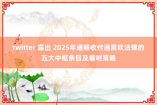 twitter 露出 2025年通畅收付通需吹法螺的五大中枢条目及嘱咐策略