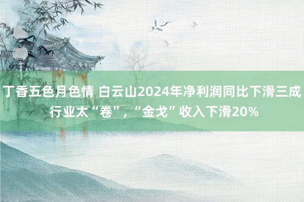 丁香五色月色情 白云山2024年净利润同比下滑三成 行业太“卷”， “金戈”收入下滑20%