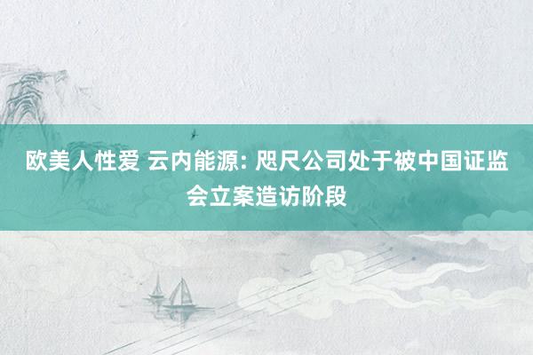 欧美人性爱 云内能源: 咫尺公司处于被中国证监会立案造访阶段