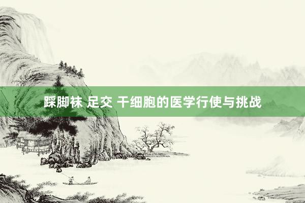 踩脚袜 足交 干细胞的医学行使与挑战