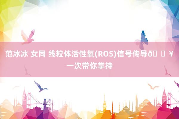 范冰冰 女同 线粒体活性氧(ROS)信号传导🔥一次带你掌持