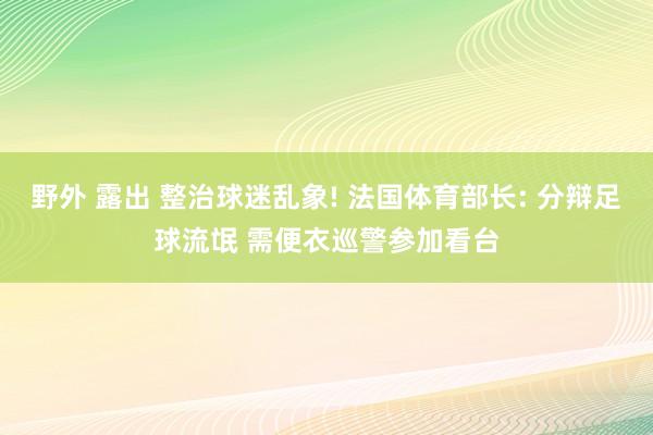 野外 露出 整治球迷乱象! 法国体育部长: 分辩足球流氓 需便衣巡警参加看台