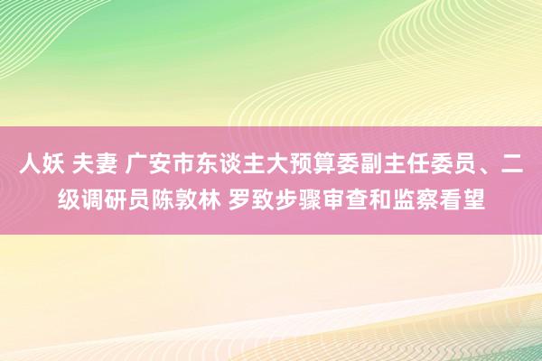人妖 夫妻 广安市东谈主大预算委副主任委员、二级调研员陈敦林 罗致步骤审查和监察看望