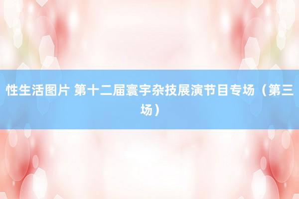性生活图片 第十二届寰宇杂技展演节目专场（第三场）