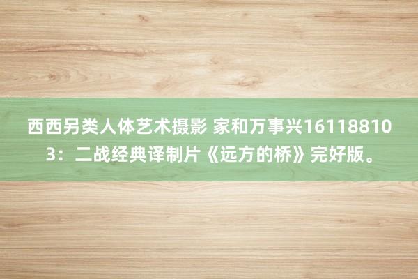 西西另类人体艺术摄影 家和万事兴161188103：二战经典译制片《远方的桥》完好版。