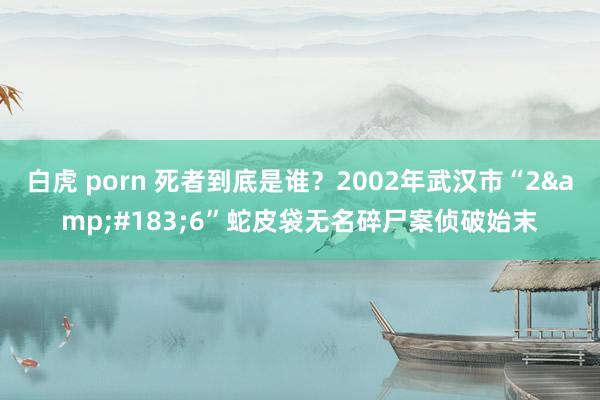 白虎 porn 死者到底是谁？2002年武汉市“2&#183;6”蛇皮袋无名碎尸案侦破始末