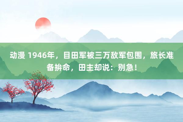动漫 1946年，目田军被三万敌军包围，旅长准备拚命，田主却说：别急！