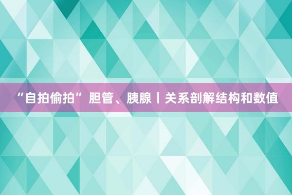 “自拍偷拍” 胆管、胰腺丨关系剖解结构和数值