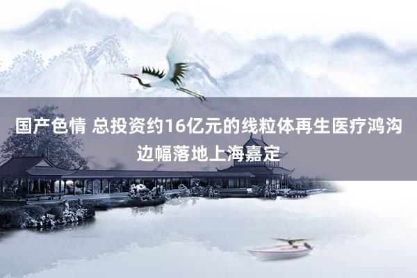 国产色情 总投资约16亿元的线粒体再生医疗鸿沟边幅落地上海嘉定