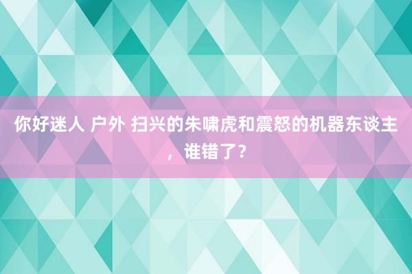 你好迷人 户外 扫兴的朱啸虎和震怒的机器东谈主，谁错了？